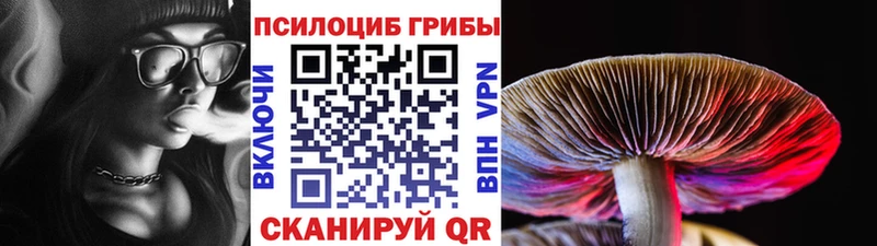 Галлюциногенные грибы MAGIC MUSHROOMS  Купить где  Дмитров 